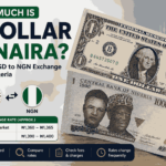 How Much Is 1 Dollar in Naira? Current USD to NGN Exchange Rate in Nigeria, Market Trends and Buying Guide