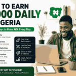 How to Earn 1k Daily in Nigeria: 10 Practical Business Ideas That Can Generate ₦1,000 a Day